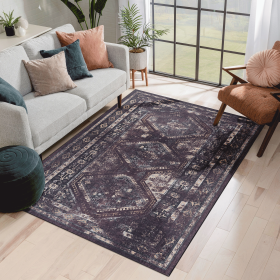 Area Rug 5x8, Washable Rug, Low-Pile, Non-Slip, Non-Shedding, Foldable, Kid & Pet Friendly - Area Rugs for living room, bedroom, kitchen