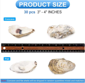 30pcs Oyster Shells With Pearl Bulk Natural Oyster Shells For Crafts DIY Arts Xmas Ornaments (Option: 3to4 inch)